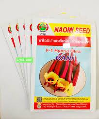 লাল ঢেঁড়সের বীজ- ৭০ +/- বীজ)