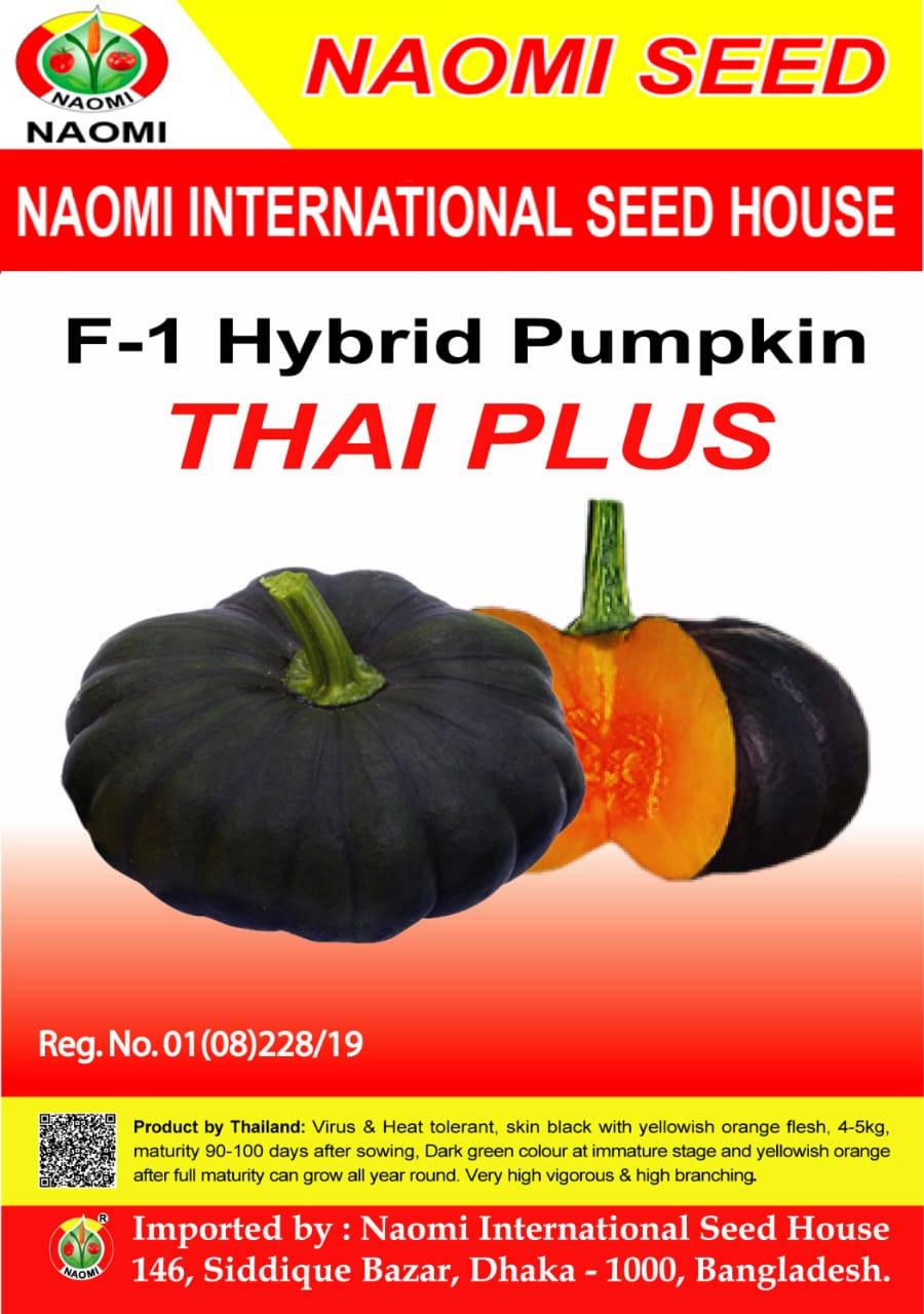 Pumpkin কুমড়া ( F1 - Hybrid ) Thai Plus