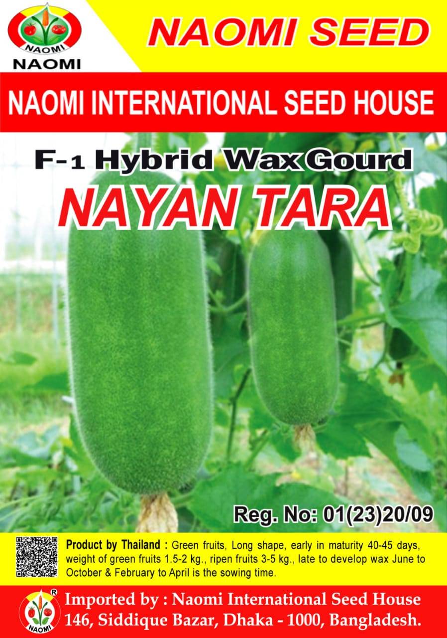 F1 হাইব্রীড চাল কুমড়া । Wax Gourd NayanTara