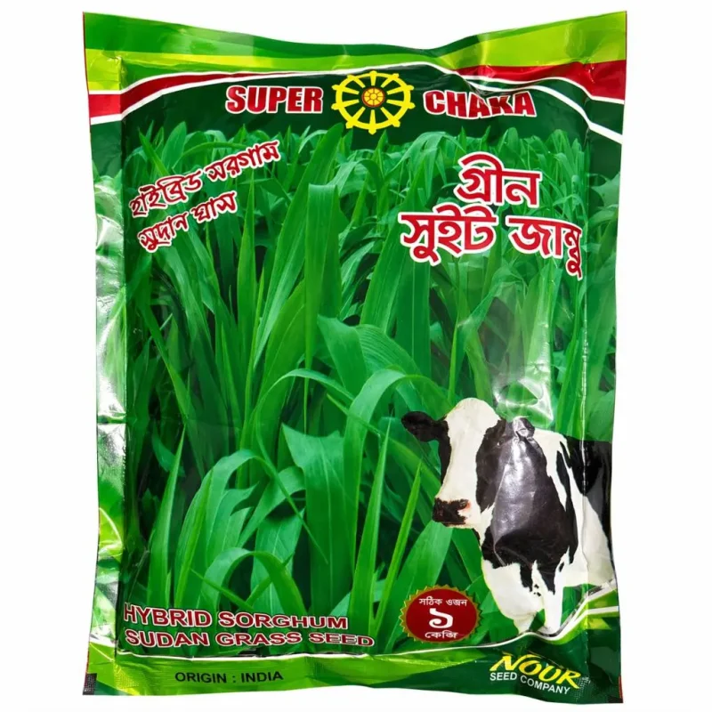গ্রীন সুইট জাম্বু (ইম্পোর্টেড ইন্ডিয়া )